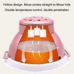 Tragbare Moxibustionsbox, Taille, Bauch, Moxibustionsausrüstung – Bild 5