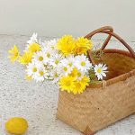 Simulierte Blumenarrangement, Tischdekoration, Picknick-Foto-Requisiten, 3pcs Sunflower Cater Paper, 5pcs Sunflower Cater Paper, 5pcs Sunflower Transparent Bag, 5pcs White Daisy Transparent Bag, 5pcs Yellow Daisy Transparent Bag... – Bild 3