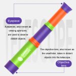 8X HD Rettich-Teleskop mit einziehbarer Fokussierung für Kinder, wissenschaftliches Bildungsspielzeug – Bild 5