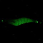 22 Farben/Set HENGJIA SJ059 Leuchtender Garnelen-Dummy-Köder aus Holz, Tintenfischhaken, harter Köder, 15cm 28g – Bild 4