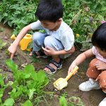 Strand-Meerwasser-Werkzeug-Set für Gemüse und Blumen, Gartengeräte, 6pcs /Set – Bild 5