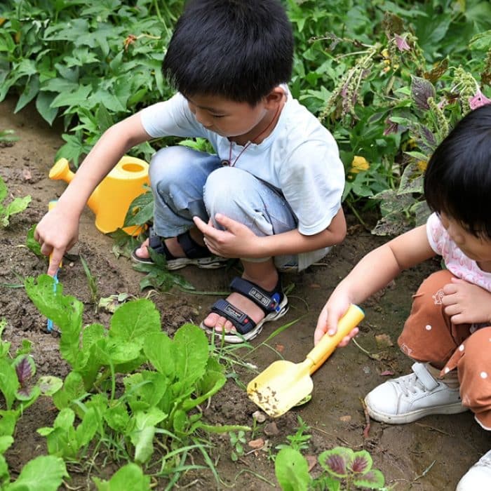 Strand-Meerwasser-Werkzeug-Set für Gemüse und Blumen, Gartengeräte, 6pcs /Set – Bild 5
