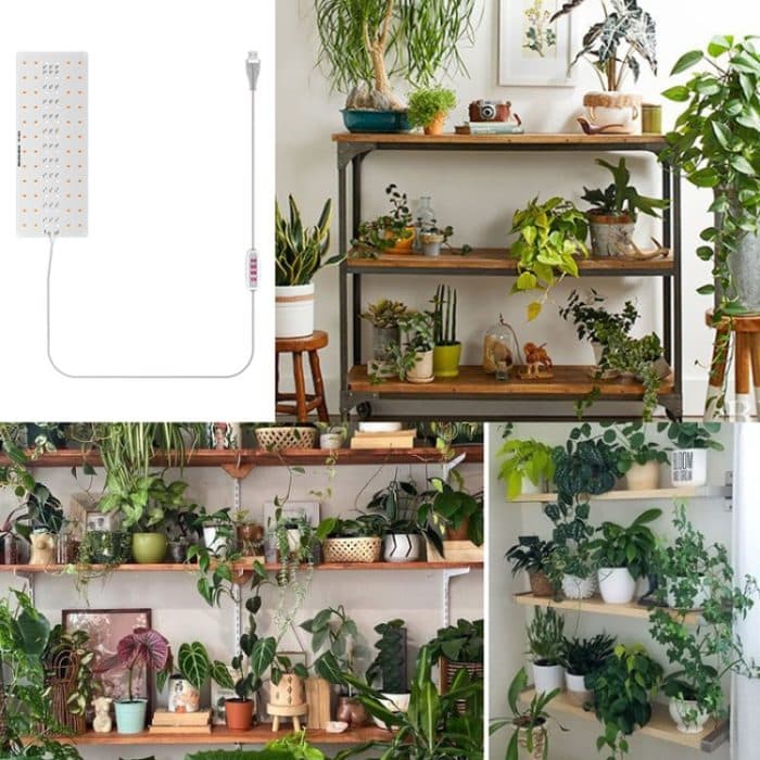 USB 5V LED Hängendes Wachstumslicht Indoor Quantum Plate Pflanzenfülllicht, 1 Head, 2 Heads, 3 Heads, 4 Heads – Bild 10