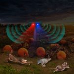 N911W Solarbetriebener Mausvertreiber, Alarm, Infrarotsensor, Tierabwehr – Bild 10