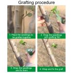 Garten-Pfropfband, Obstbaum-Sämling, selbstklebende Folie, 2cm, 2.5cm, 3cm, 4cm, 4.5cm, 5cm, 6cm, 7cm, 8cm, 9cm – Bild 8