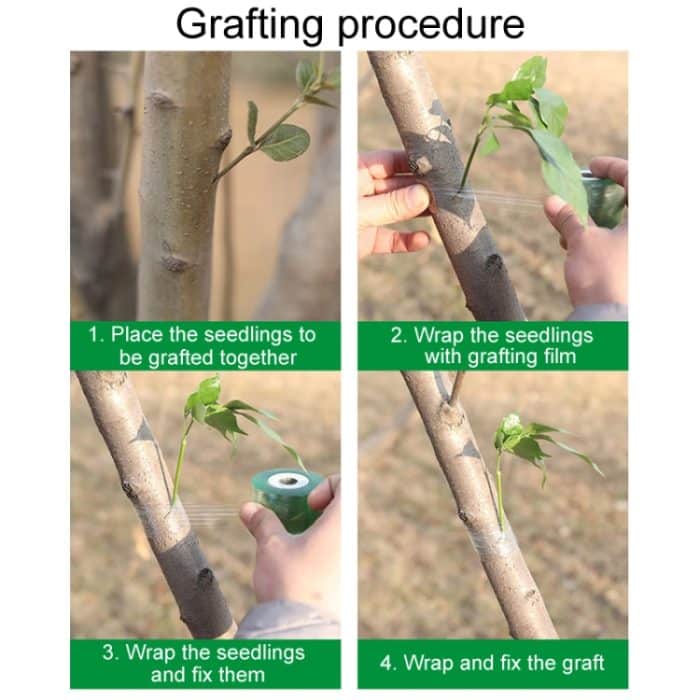 Garten-Pfropfband, Obstbaum-Sämling, selbstklebende Folie, 2cm, 2.5cm, 3cm, 4cm, 4.5cm, 5cm, 6cm, 7cm, 8cm, 9cm – Bild 8