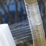 Garten-Pfropfband, Obstbaum-Sämling, selbstklebende Folie, 30mm x 120m – Bild 8