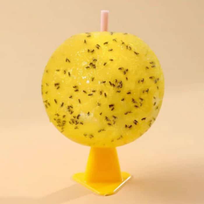 TBD06049451.jpg 8 cm Indoor-Fruchtfliegenball mit Kern, Insektenlockstoff, klebriger Ball – Bild 1