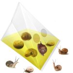 20 teile/paket Schnecke Schnecke Falle Tasche Garten Gemüse Grundstück Falle Transparent Kunststoff Tasche