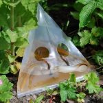 20 teile/paket Schnecke Schnecke Falle Tasche Garten Gemüse Grundstück Falle Transparent Kunststoff Tasche – Bild 2