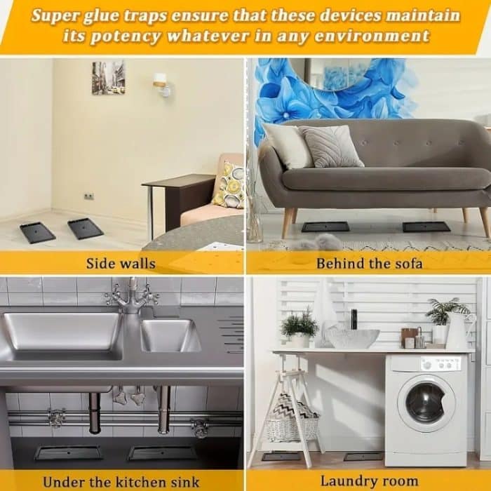 6 teile/satz Kunststoff Klebrige Maus Bord Ratte-töten Aufkleber – Bild 5