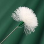 2 stücke Medium Köpfe Silber Nadel Gans Quill Stick Ohr Picking Werkzeug – Bild 6