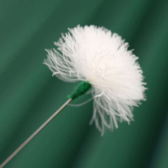 2 stücke Medium Köpfe Silber Nadel Gans Quill Stick Ohr Picking Werkzeug – Bild 6