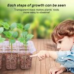 Erhöhter Topf für Sukkulenten-Gemüsesetzlinge mit 12 Löchern und Deckel, 12-Hole Heightened – Bild 6