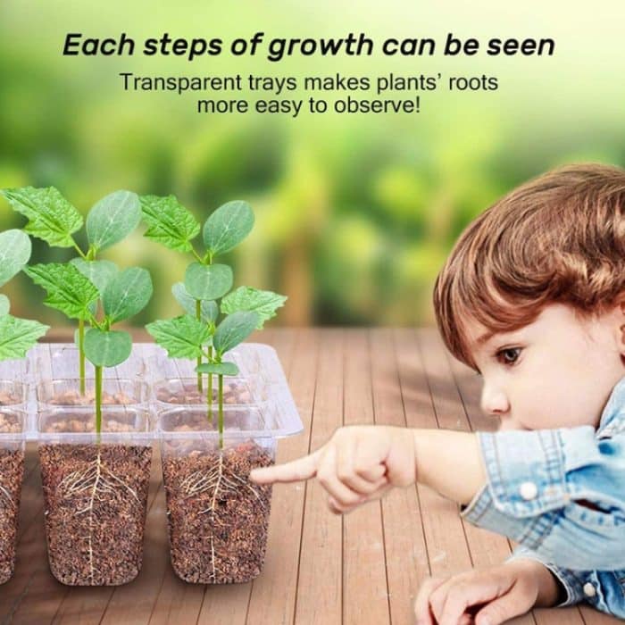 Erhöhter Topf für Sukkulenten-Gemüsesetzlinge mit 12 Löchern und Deckel, 12-Hole Heightened – Bild 6