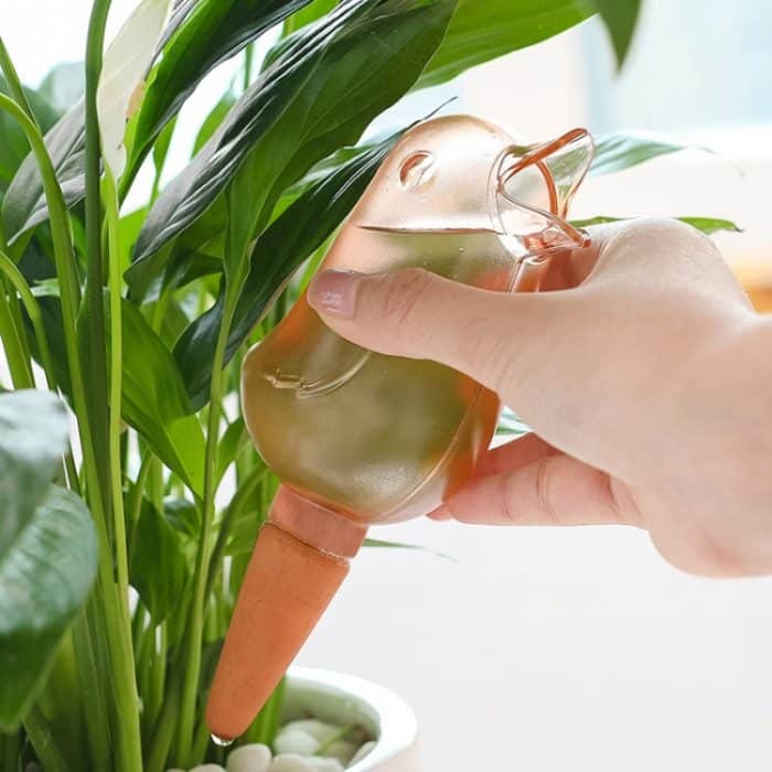 Gartenbewässerung, Versickerung, Haushaltspflanzen, Blumenerde, Vogel, automatische Bewässerung – Bild 6