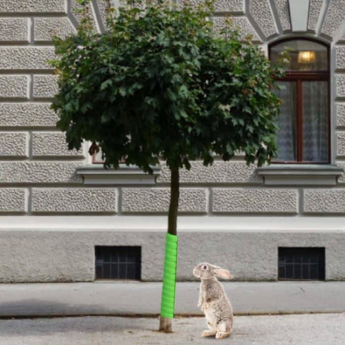 Pflanzenstammschutz Garten Anti-Knabberschutz aus Kunststoff, Small, Large – Bild 2