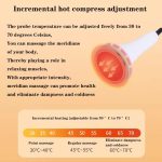 Meridian-Massagegerät, Körperformungsgerät zur Schmerzlinderung und Hautstraffung, EU Plug, UK Plug, US Plug, AU Plug – Bild 4
