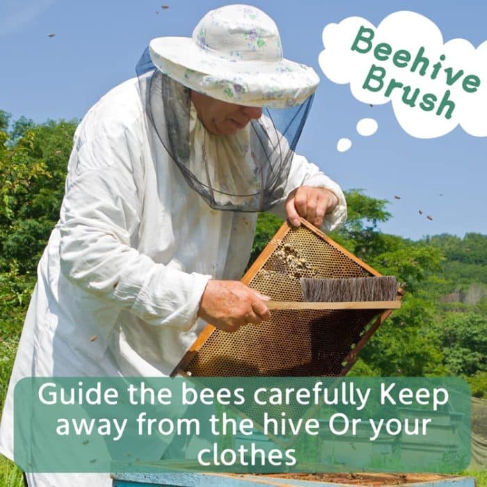 12-in-1 Imkerei Starter Set Honig Bee Hive Werkzeuge – Bild 6