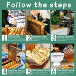 12-in-1 Imkerei Starter Set Honig Bee Hive Werkzeuge – Bild 8