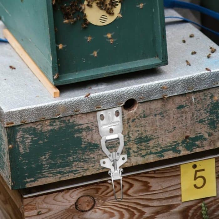 Beehive Schnalle Stecker Bee Box Anti-Diebstahl-Verschluss Bienenzucht Werkzeuge – Bild 6