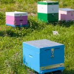 Beehive Schnalle Stecker Bee Box Anti-Diebstahl-Verschluss Bienenzucht Werkzeuge – Bild 7