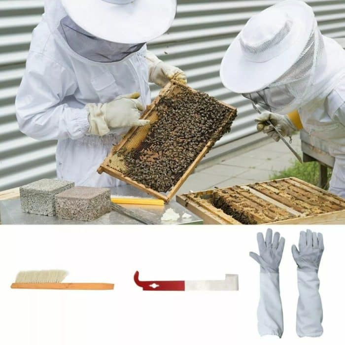 4-in-1 Anti-Bienen-Kleidung + Schaber + Bienenbürste + Anti-Bienen-Handschuhe Imkerset – Bild 5