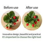 Erdbeeranbau Anti-Fäulnis-Pflanzständer Pflanzenklettergestell – Bild 4