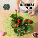 Erdbeeranbau Anti-Fäulnis-Pflanzständer Pflanzenklettergestell – Bild 5