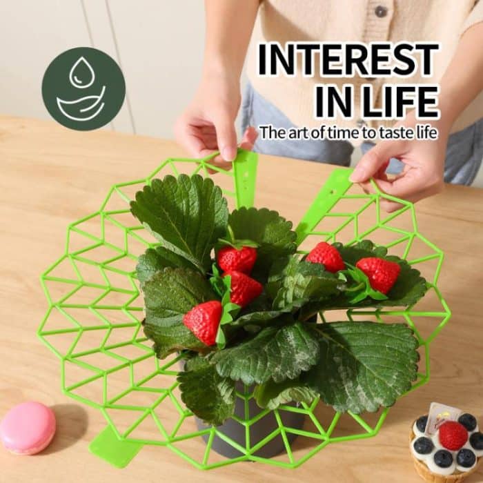 Erdbeeranbau Anti-Fäulnis-Pflanzständer Pflanzenklettergestell – Bild 5