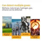 Combustible Gas Detector Explosion-Proof Natural Gas Gas Methane Gas Alarms, SW-733B – Bild 3
