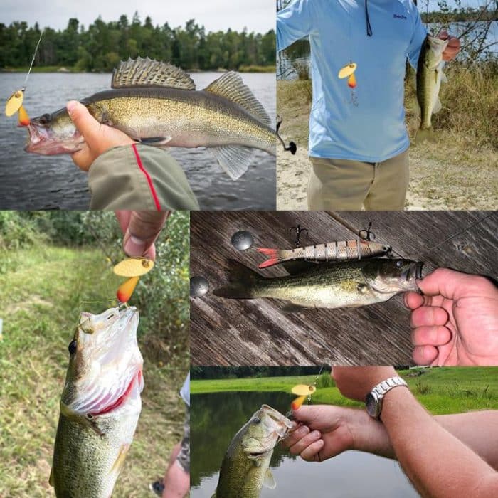 HENGJIA Single Hook Sequins Road Runner Bait Fishing False Lures, 5colors / Box – Bild 9