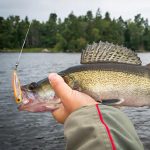 HENGJIA PO105 Surface Tethered Wave Steak 11CM 23G Bionic Lure Fake Bait, 5colors / Set – Bild 6