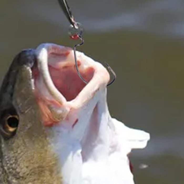 HENGJIA FH013 50pcs / Box Outdoor Fishing Cranked Stripers Hook Set, Black, Red – Bild 7