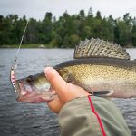 HENGJIA MI171 4.3cm-1.6g Sinking Road Runner Warbler Bait Outdoor Fishing Single Hook False Lure, 10colors / Box – Bild 6