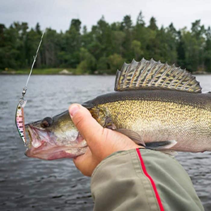 HENGJIA MI171 4.3cm-1.6g Sinking Road Runner Warbler Bait Outdoor Fishing Single Hook False Lure, 10colors / Box – Bild 6