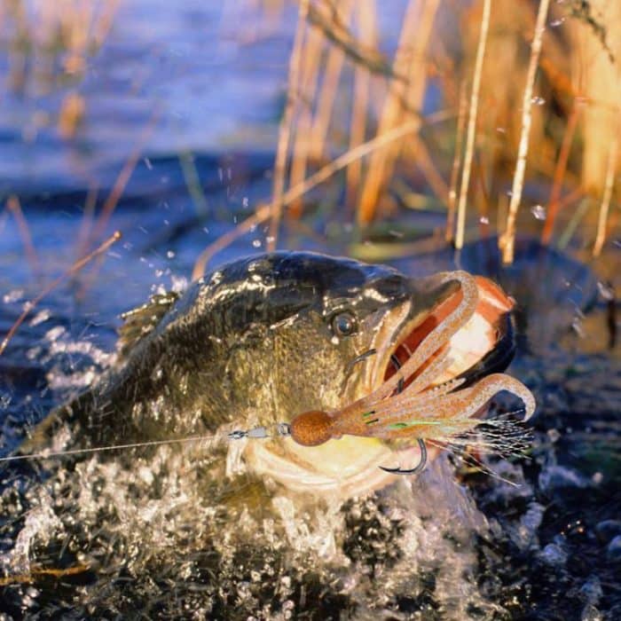 PROBEROS DW6123 10cm-4.8g Simulated Squid Soft Bait Sea Fishing Octopus False Lure, 5pcs / Pack – Bild 8