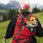 Hangable Climbing Buckle Retractable Anti-Loss Outdoor Climbing Pull Buckle, Hangable – Bild 4