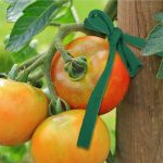 30m Garden Rope Fabric Cord Plant Support Ties – Bild 3