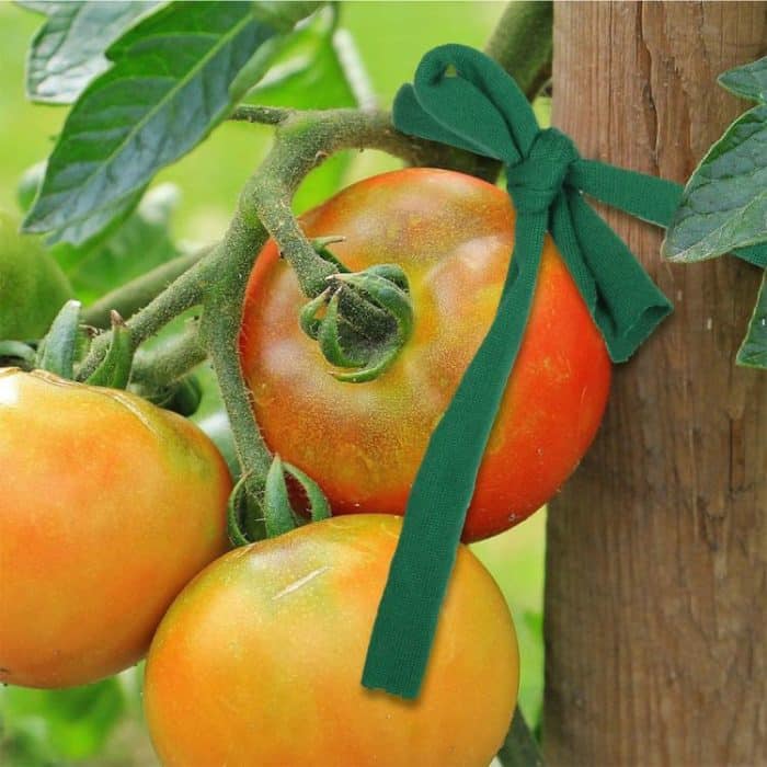 30m Garden Rope Fabric Cord Plant Support Ties – Bild 3