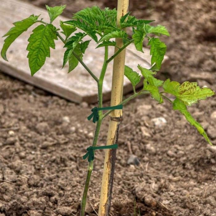 30m Garden Rope Fabric Cord Plant Support Ties – Bild 4