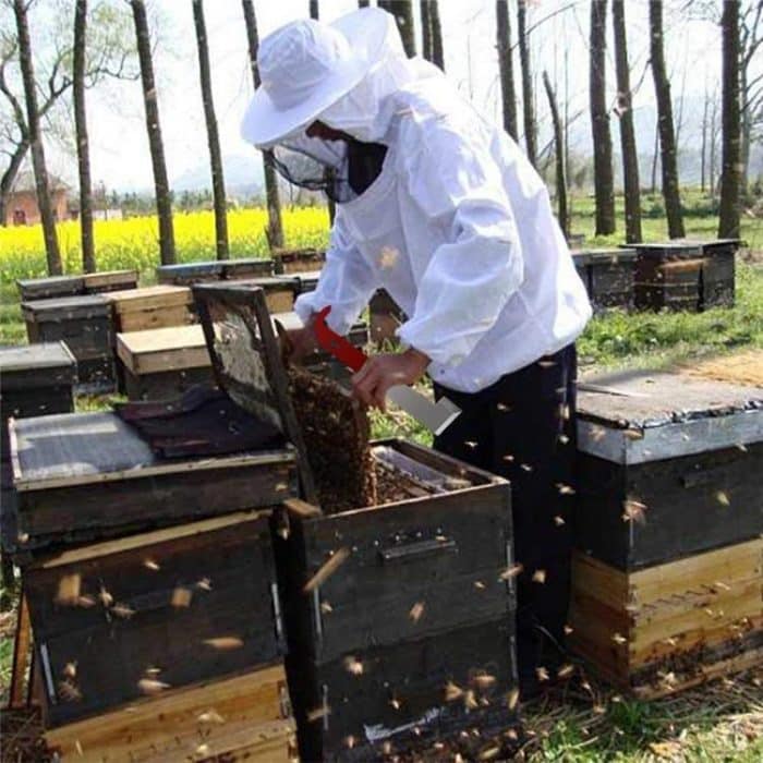 Bienenstockschaber mit gebogenem Schwanz aus Edelstahl, Bienenzuchtwerkzeuge – Bild 4