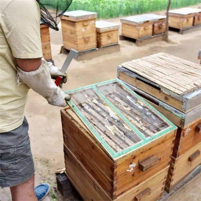 Bienenstockschaber mit gebogenem Schwanz aus Edelstahl, Bienenzuchtwerkzeuge – Bild 5