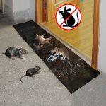 2 Stück Maus Nagetier Kleber Ratte Trap Board Mäuse Killer Länge: 1,2m