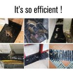 2 Stück Maus Nagetier Kleber Ratte Trap Board Mäuse Killer Länge: 1,2m – Bild 3