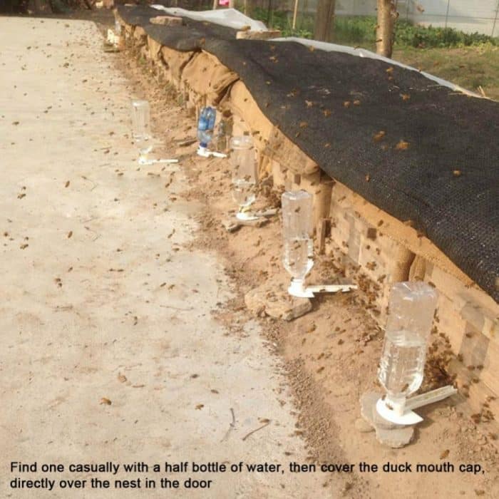 10 PCS Entenschnabel-Wasserzufuhr Nest-Türzuführung Multifunktions-Bienenzucker-Zuführung Imkerei-Werkzeugzubehör – Bild 5