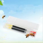 2 PCS übertragen Needles Bienenzucht Spezialwerkzeug Mobilbienenlarve Utensilien Pens Zucht – Bild 2