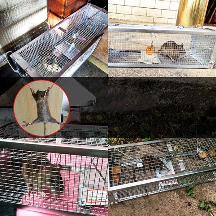 Haushaltsmäusekäfig-Mausefalle mit Doppeltür, Household Mouse Cage – Bild 4