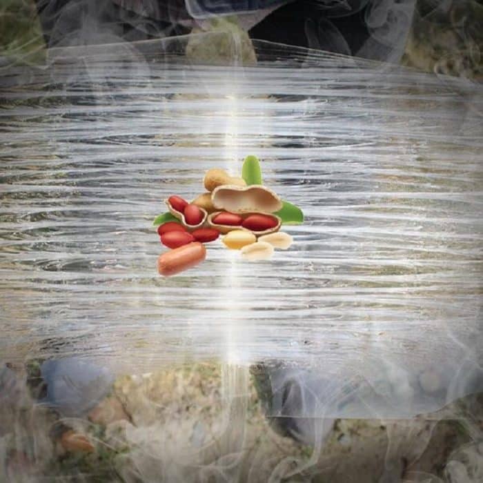 Anti-Nagetier Strong Sticky Board Transparente Sticky Mouse mit Mausefallenkleber – Bild 4