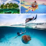 Ruigpro Floating Hand Grip Dome Port Unterwasser Tauchkamera Objektiv Transparente Abdeckung für DJI Osmo Action – Bild 11